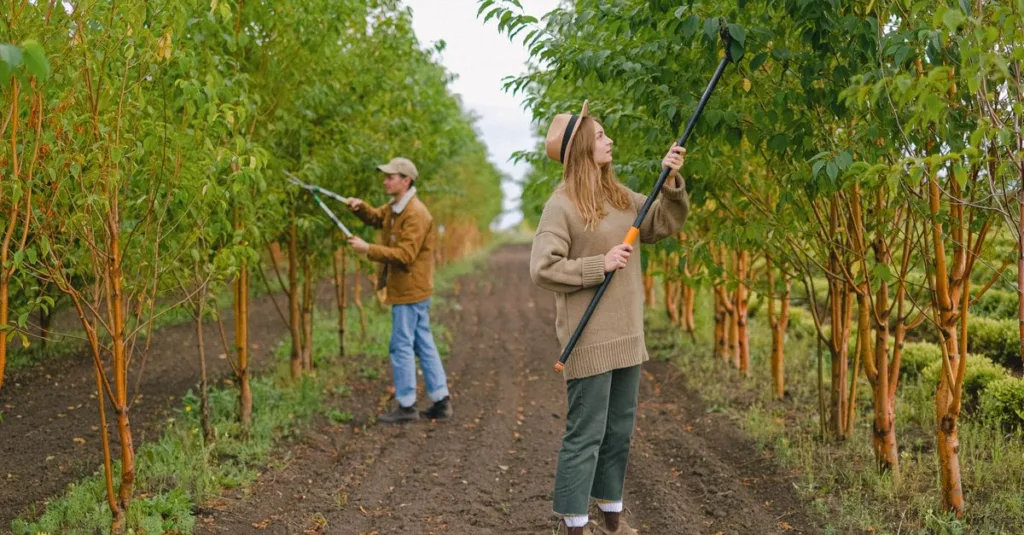 découvrez les meilleures techniques d'élagage pour entretenir vos plantes, arbres et arbustes, favoriser leur croissance et améliorer leur santé.